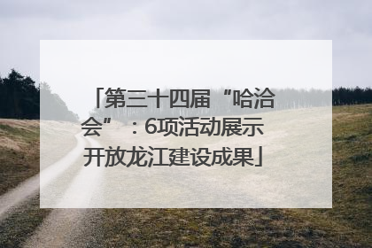 第三十四届“哈洽会”：6项活动展示开放龙江建设成果